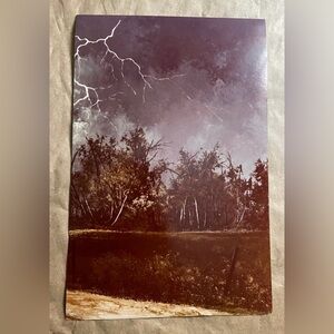 NWT Vintage jon gagnon Stormy Forest Woods and Trees Landscape Art Print